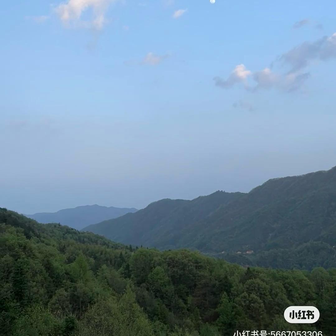 山中有户人家好货