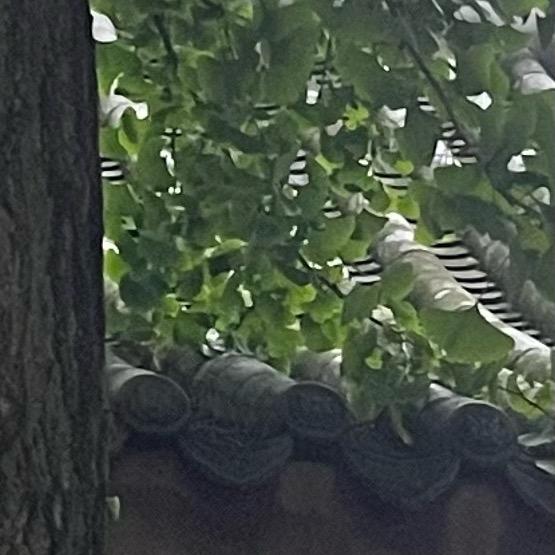 过期成长