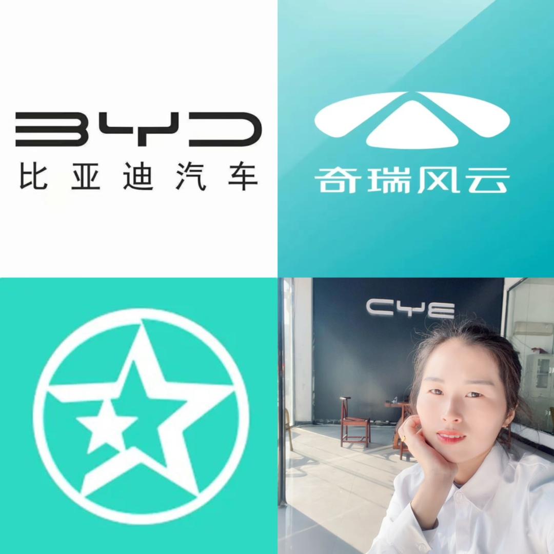 奇瑞风云新能源宁陵店
