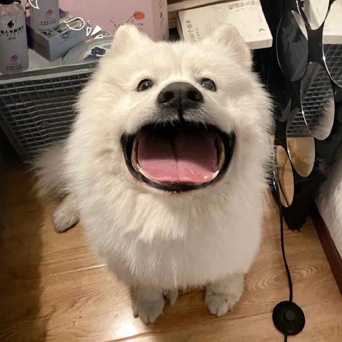 王允谦