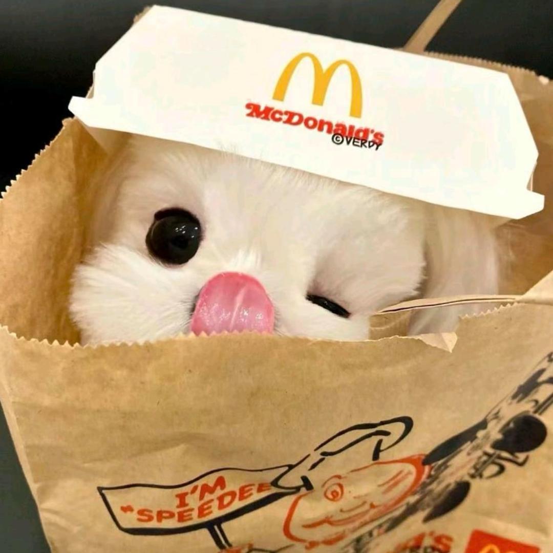 我不要当区