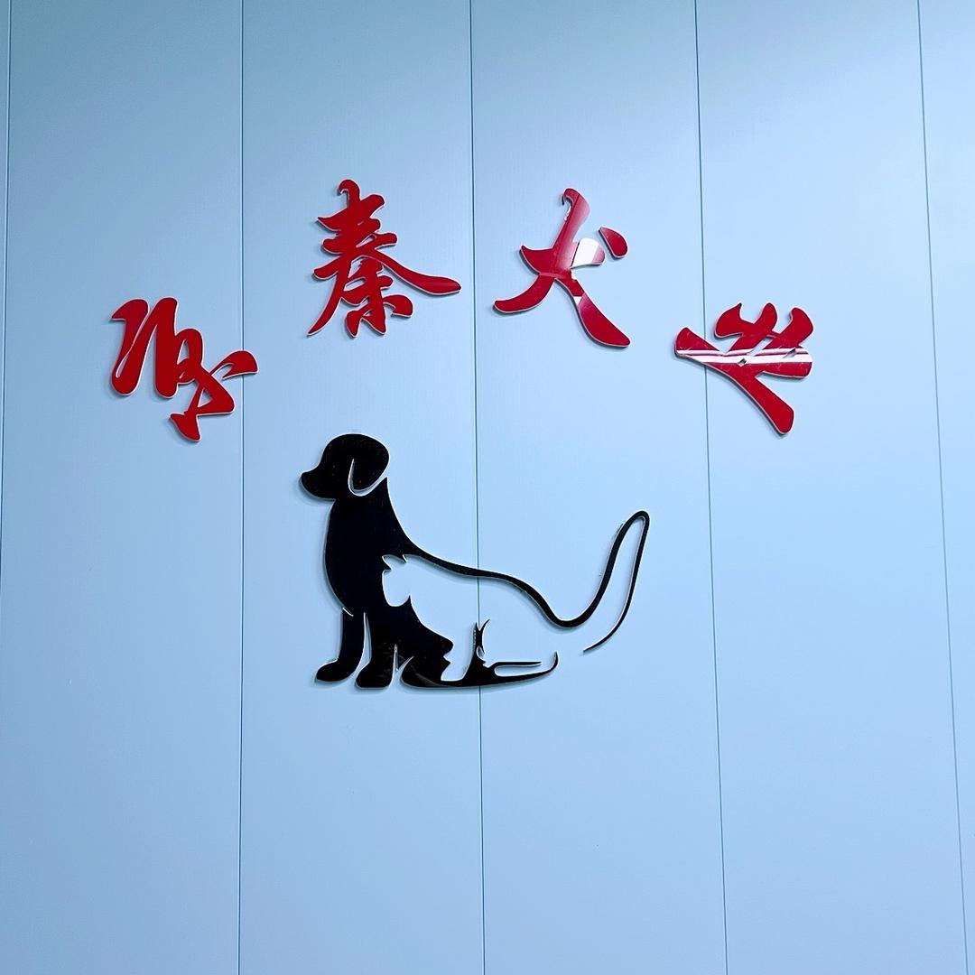 京秦犬业～彬姐