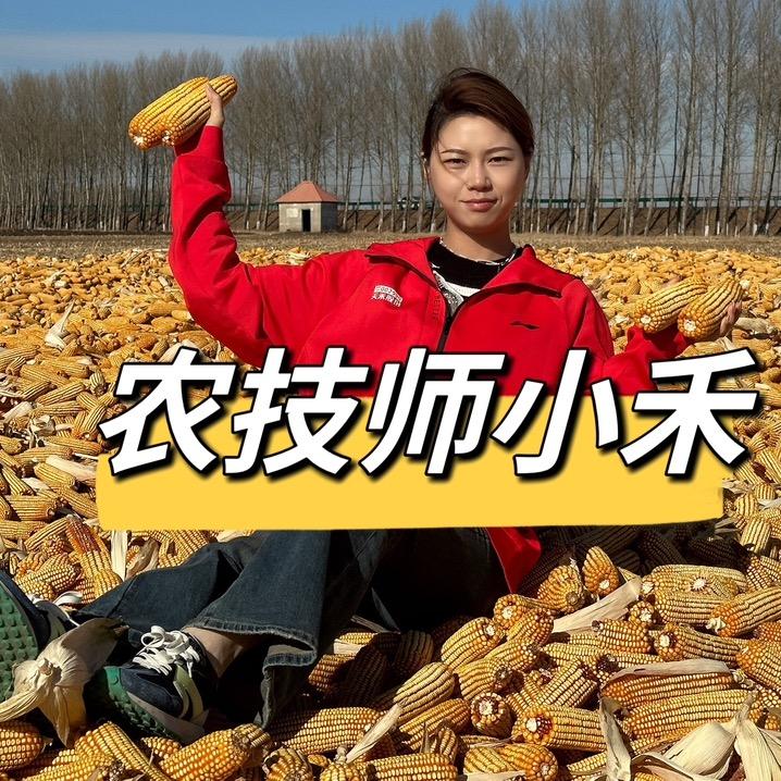 农技小禾老师