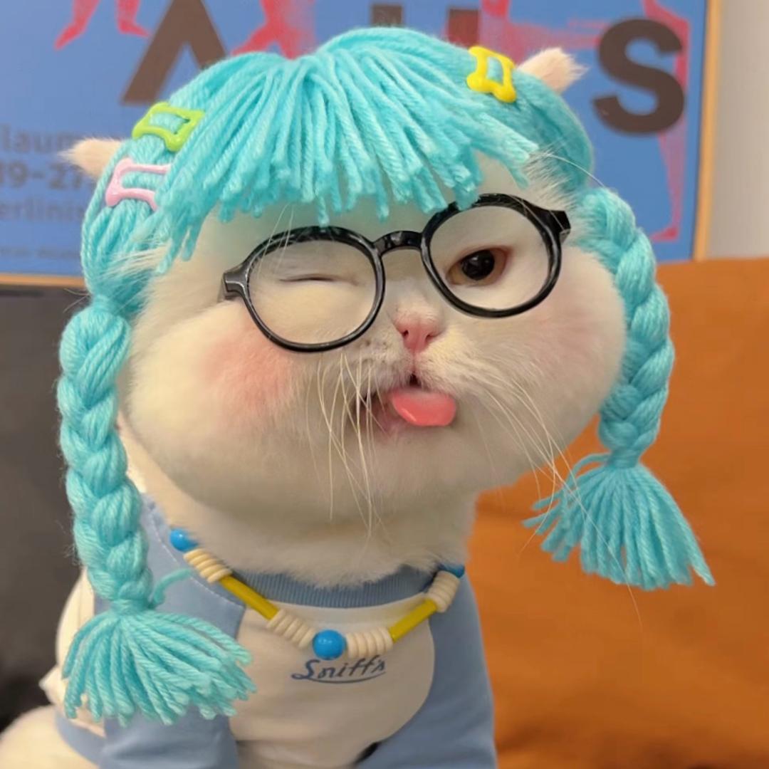 纵心吖