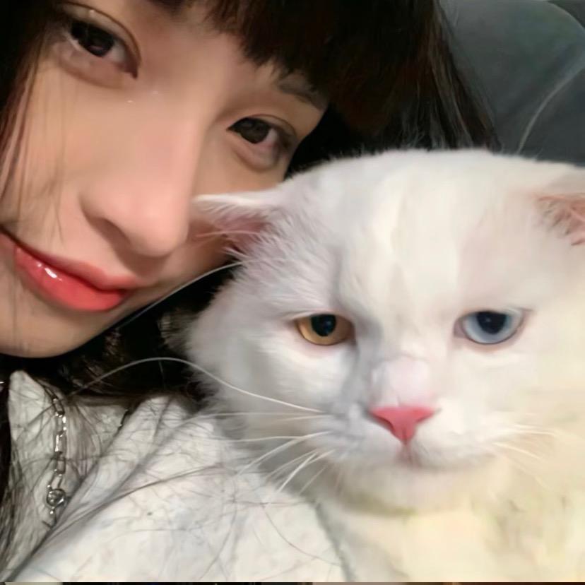 一卷小🐑