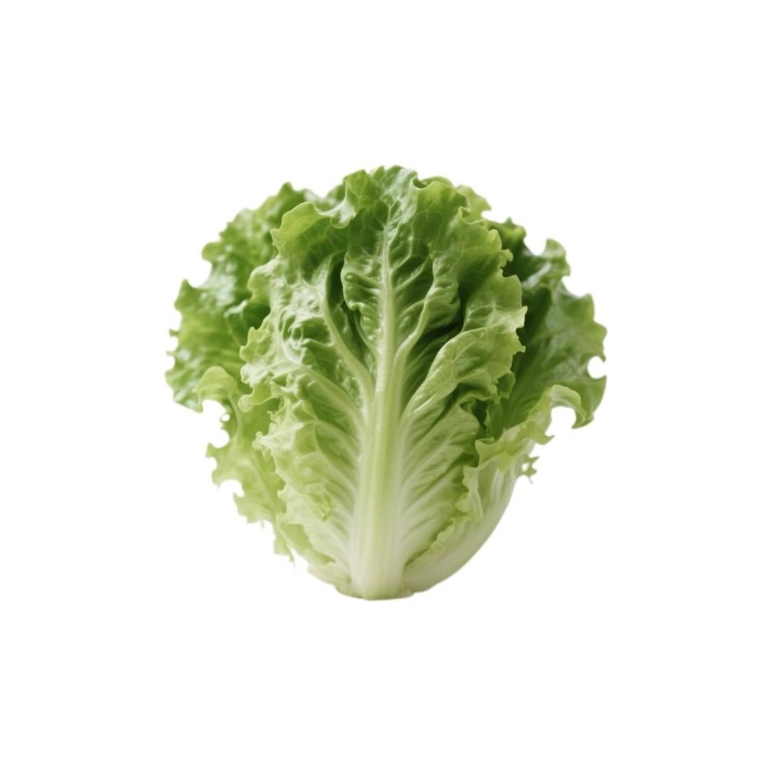 ＊村头刘翠花°F4