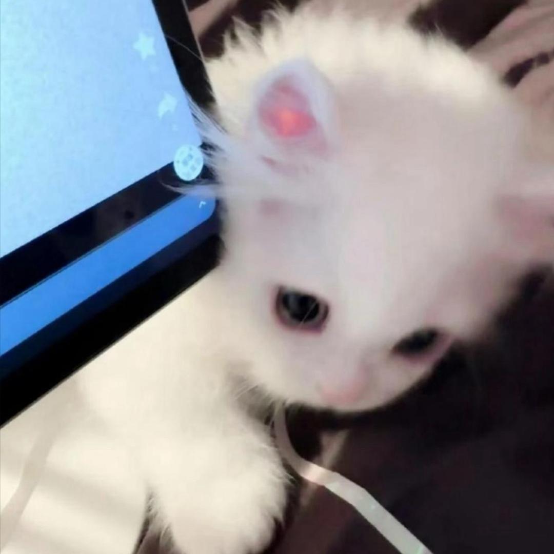 你有我一个就够了呀