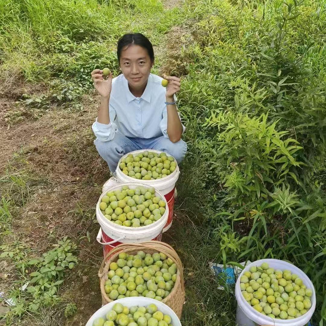 开江雪儿果蔬