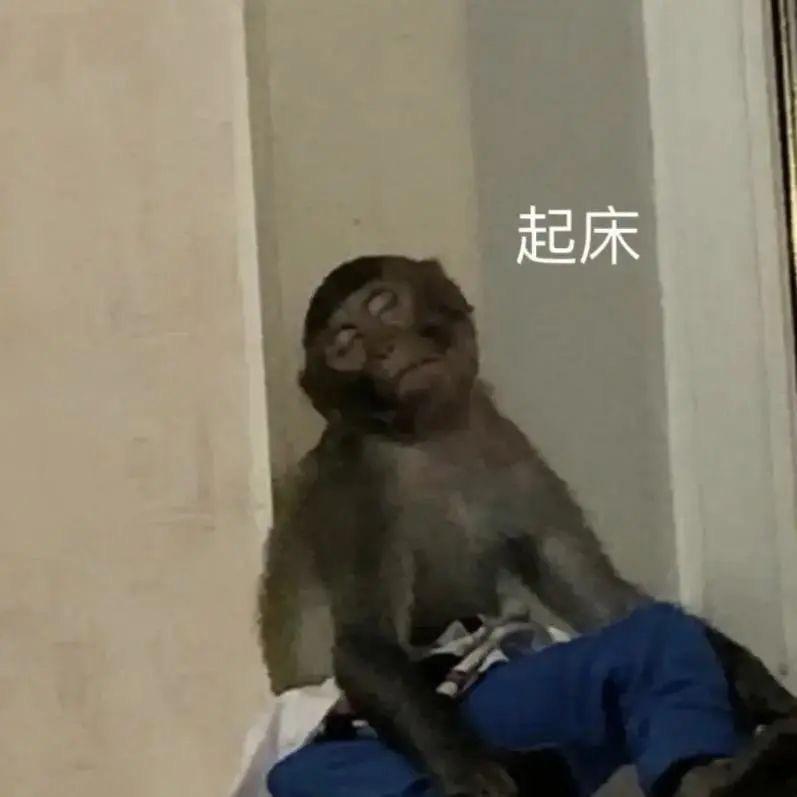 开铲车铲飞你