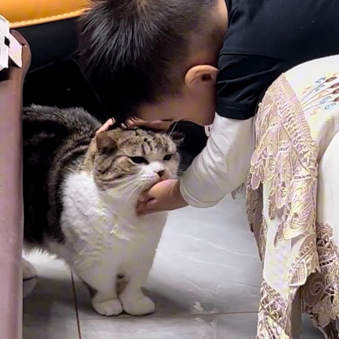 郭小愚你别挠沙发了！