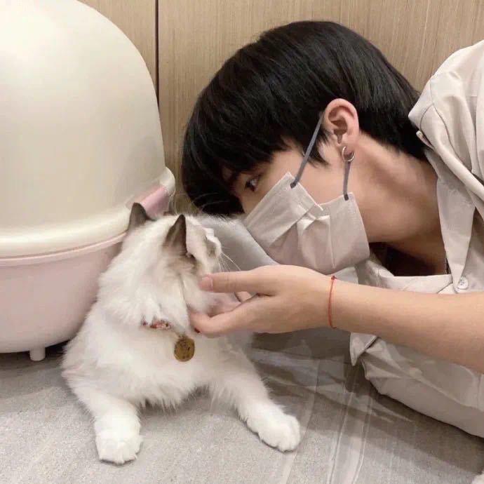 小🐑