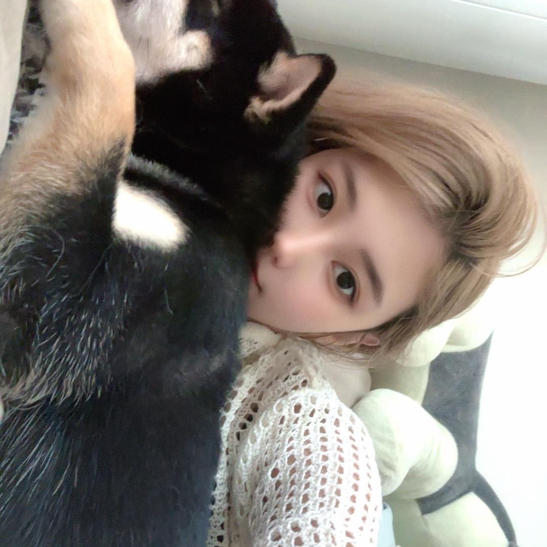 wuli昭昭·三角洲行动