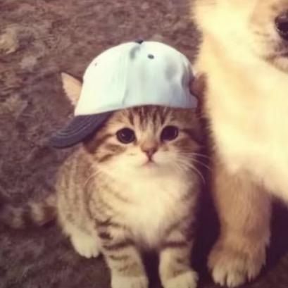 帅老师（进步版）