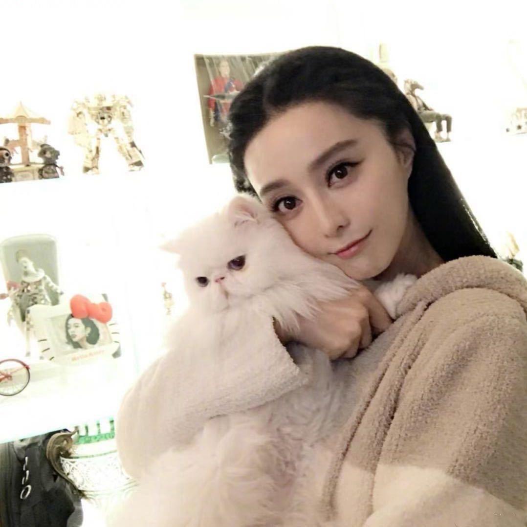 美熹