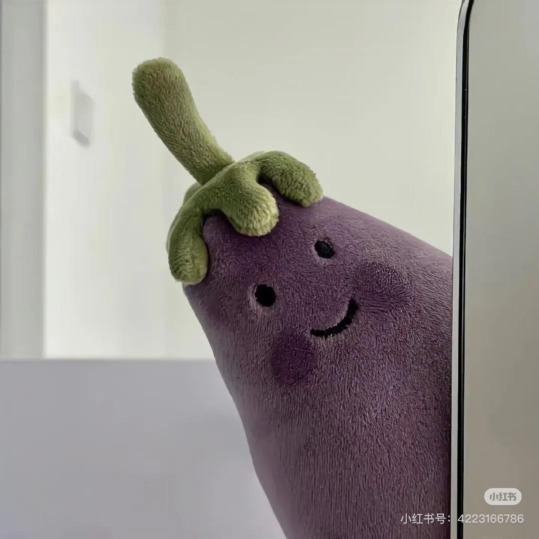 茄总