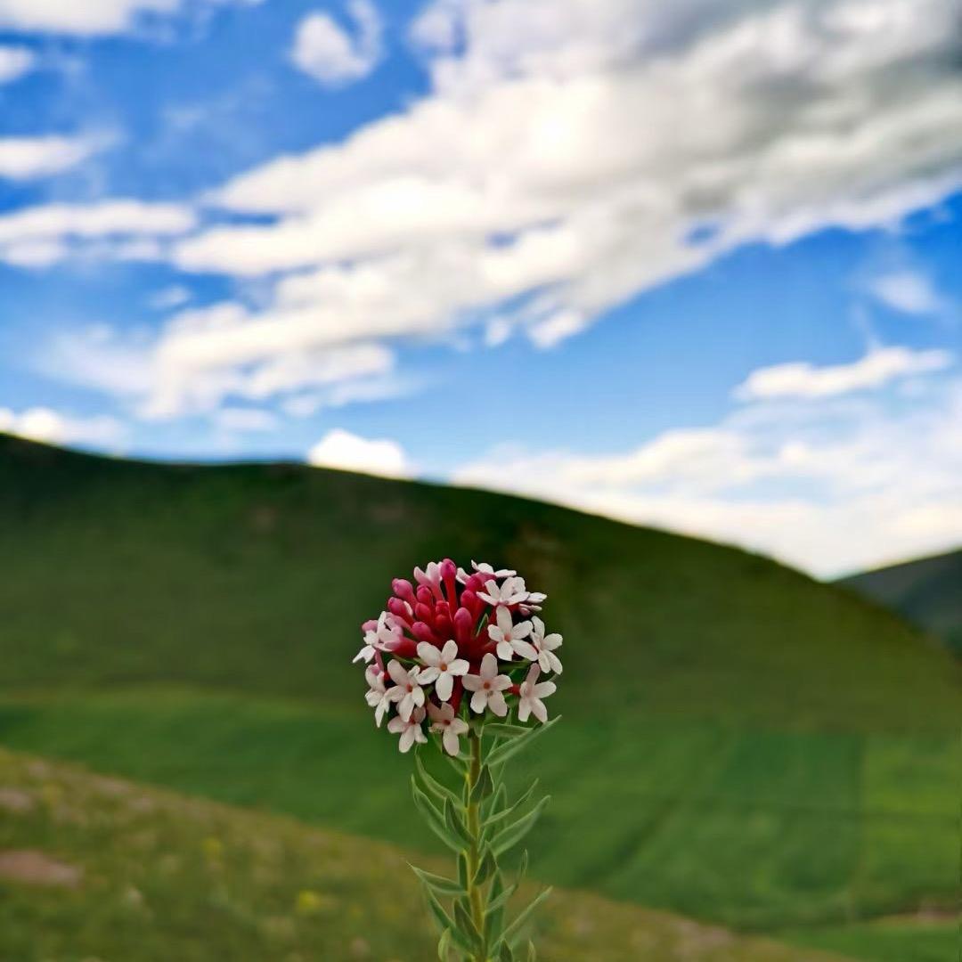 少年维持着烦恼