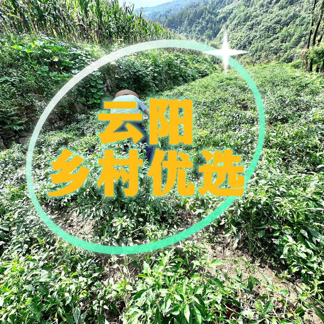 云阳乡村优选