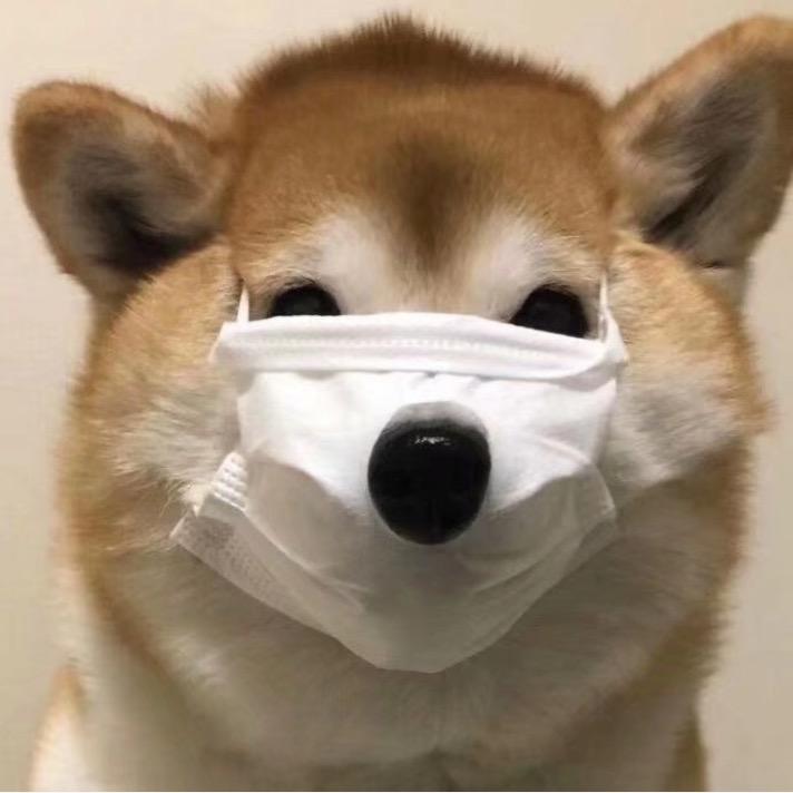子彧