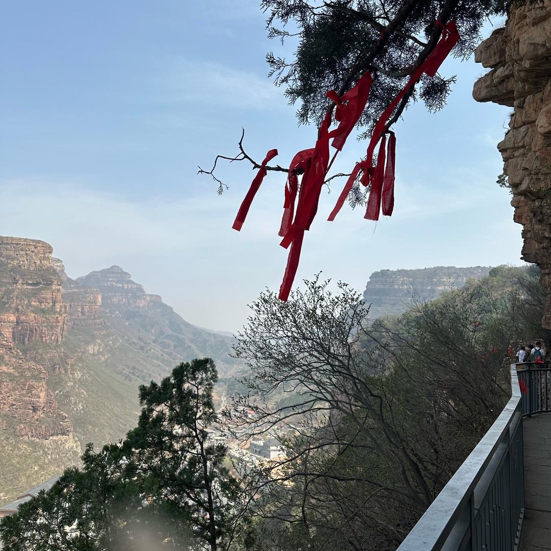 三百六十五天都在