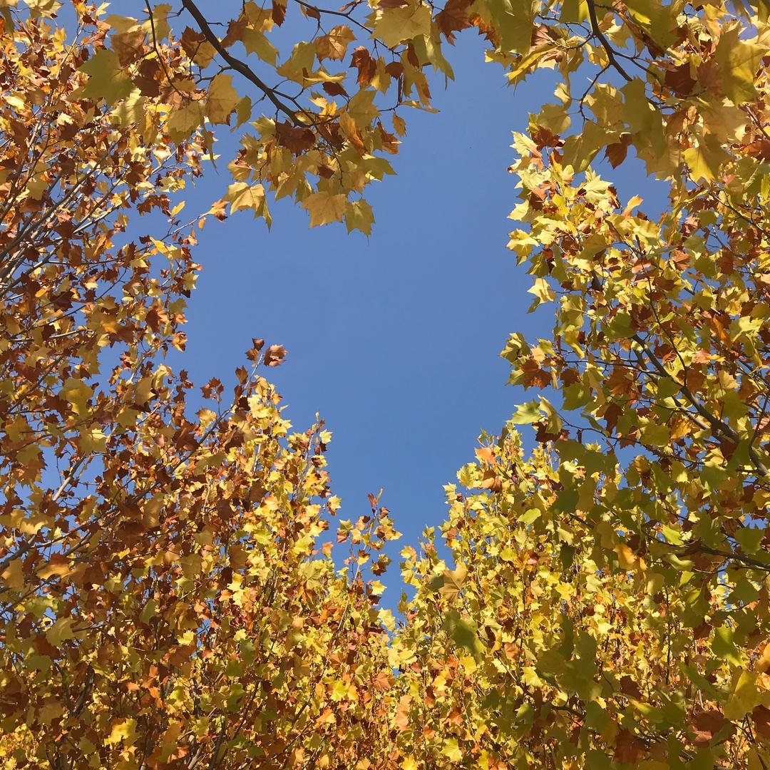 睡美人^_^  可心书屋