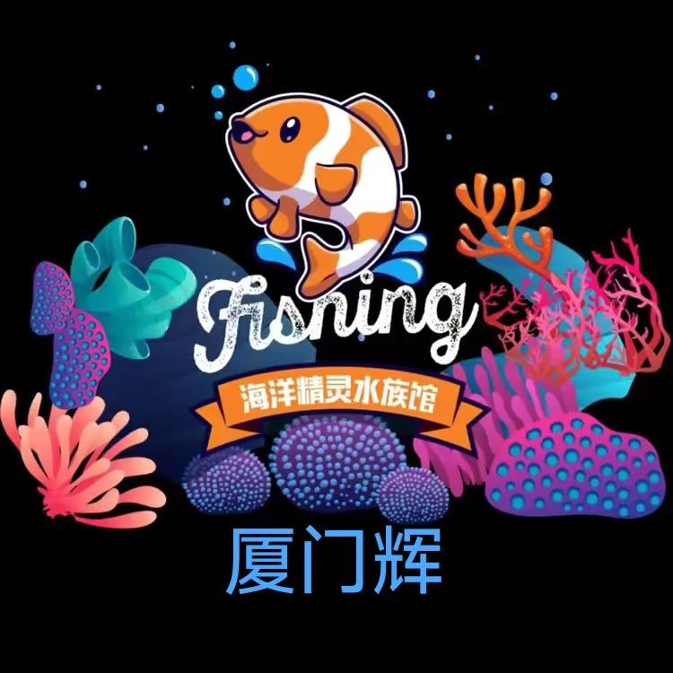 海洋精灵～厦门辉