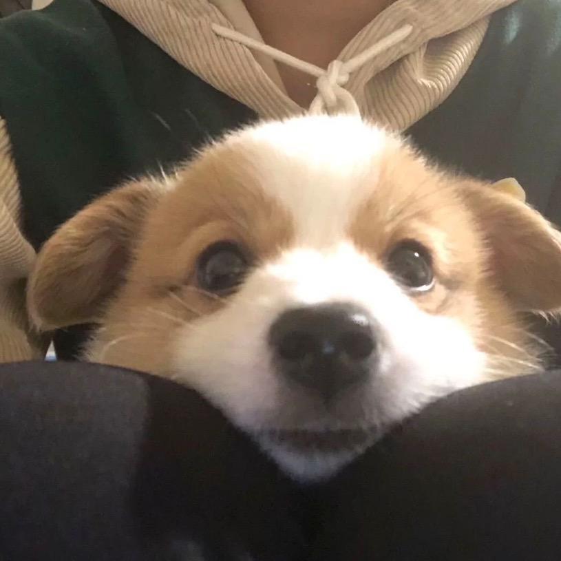 xxxxk.