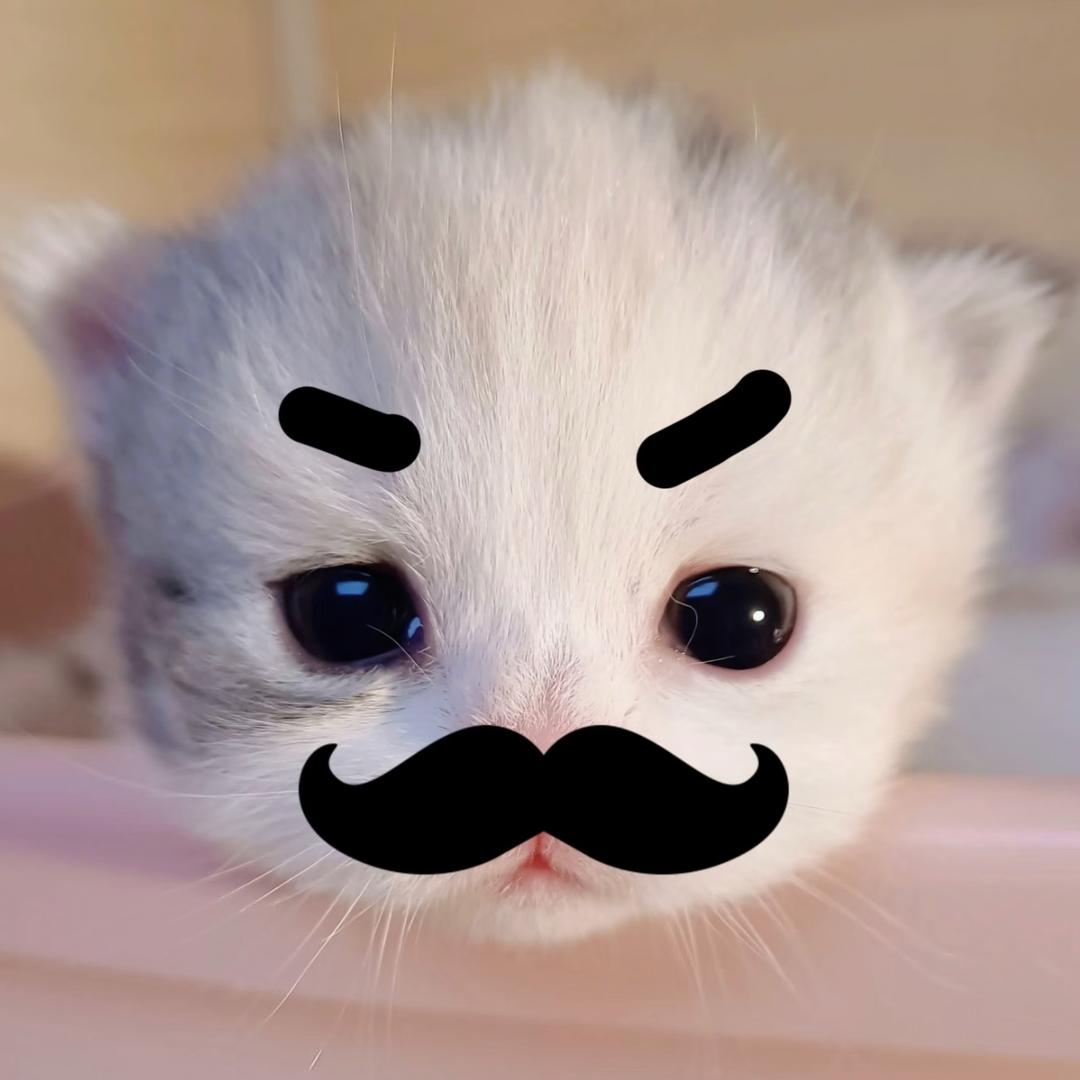 sksjjdkdje