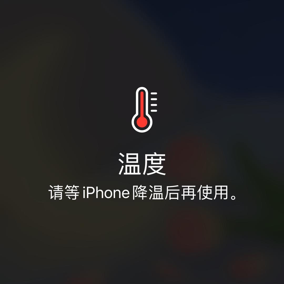 说走就走被人带去旅行