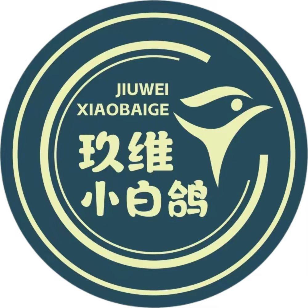 太原舞蹈（山西小白鸽-坞城路校区）