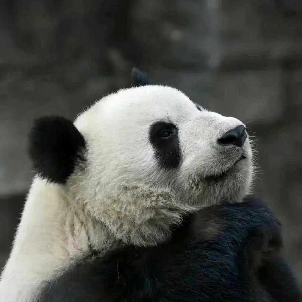 黄药师