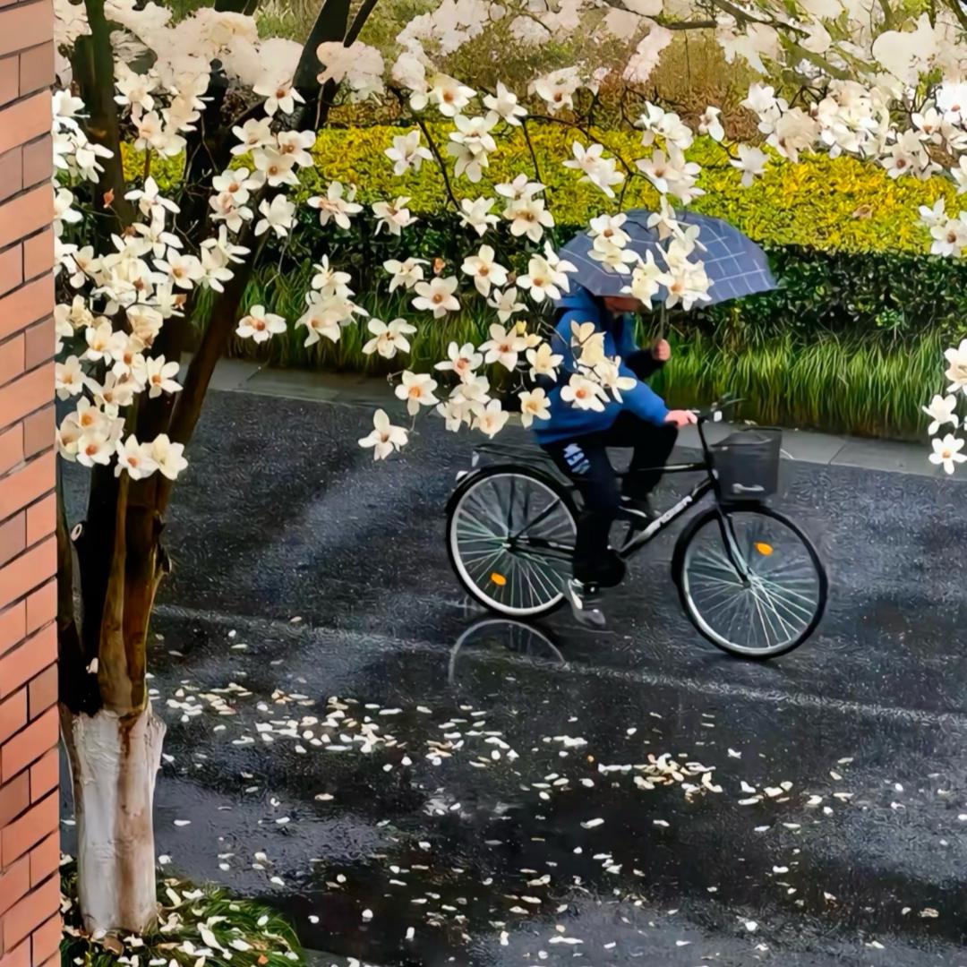 科目三 三次郎🙇🏼‍♂️