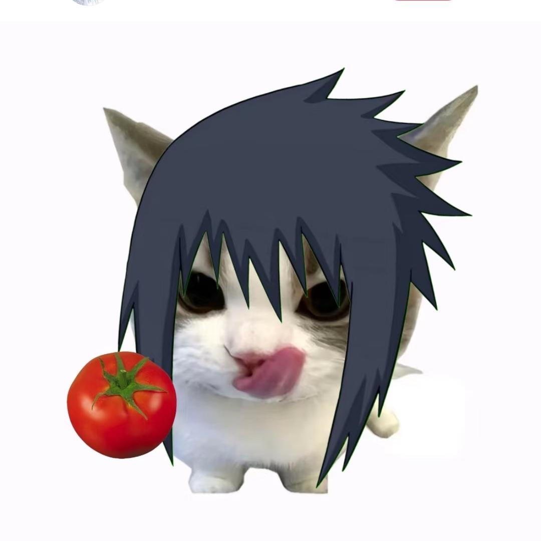 小猫辅佐助