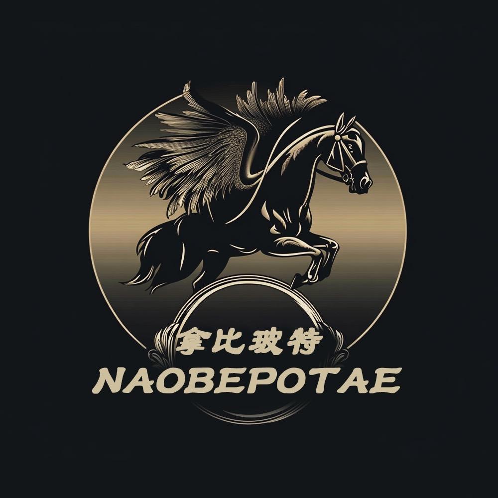 NAOBEPOTAE男装企业店