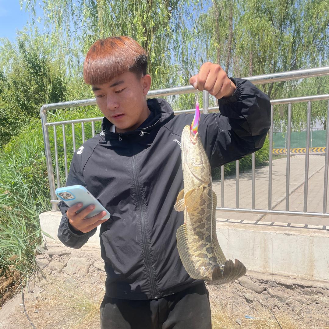 不打龟的小郭/.