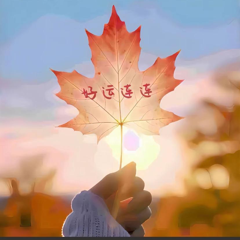 帆帆优选