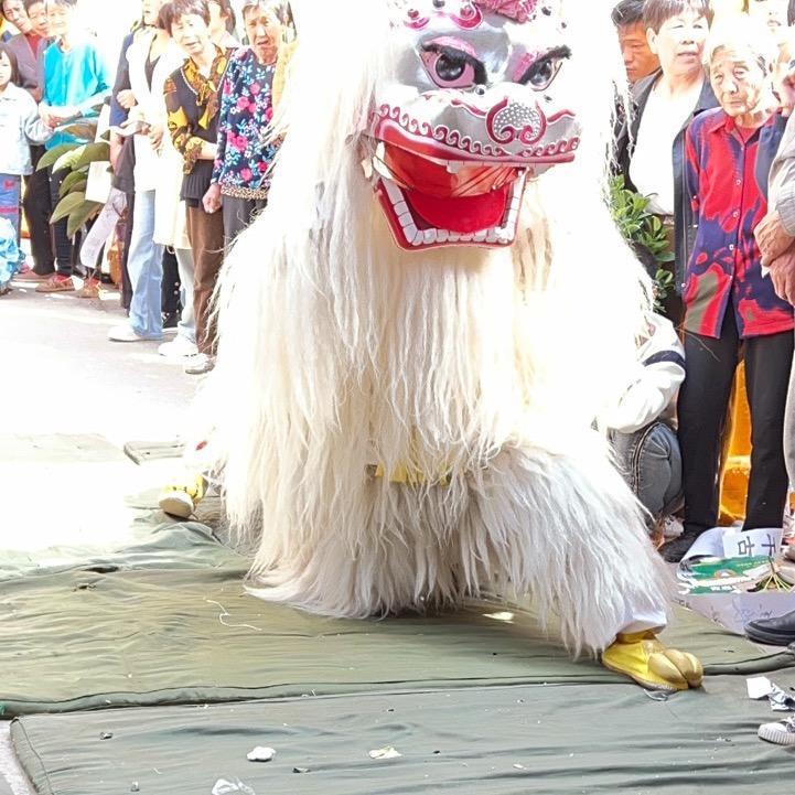 河南专业祭拜小白狮