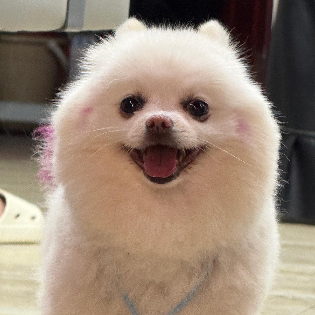 唯伊