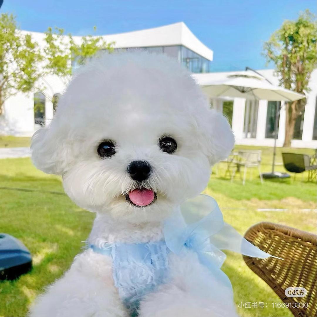 我的可爱叫小宝