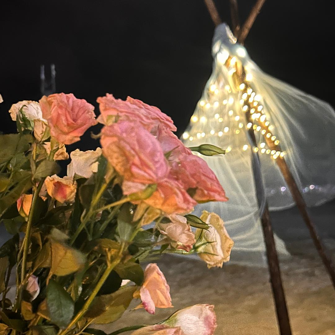 🌙佩佩居