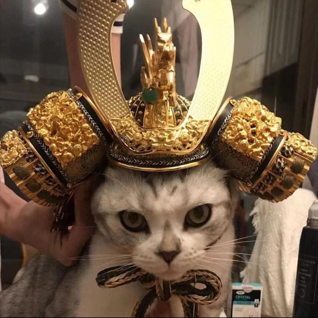 一个非常哇噻的男孩。