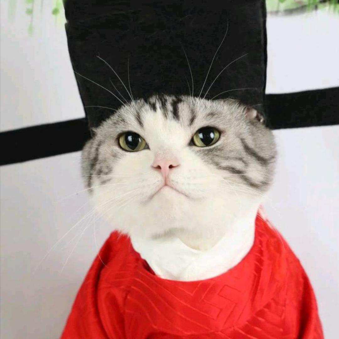 西伯利亚花果山社恐泪失禁蕾丝纯情大母猴