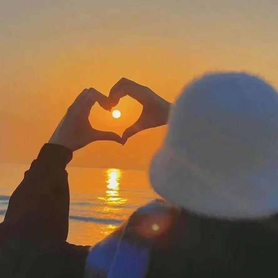 🦈  ʸ柚 柚ʸ ☀️