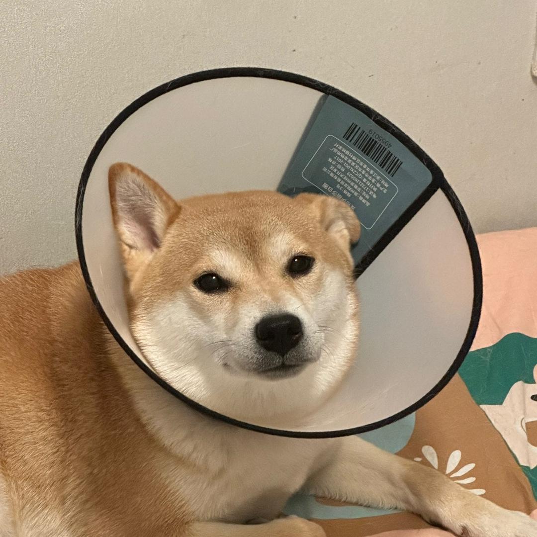 我是哆哆钱
