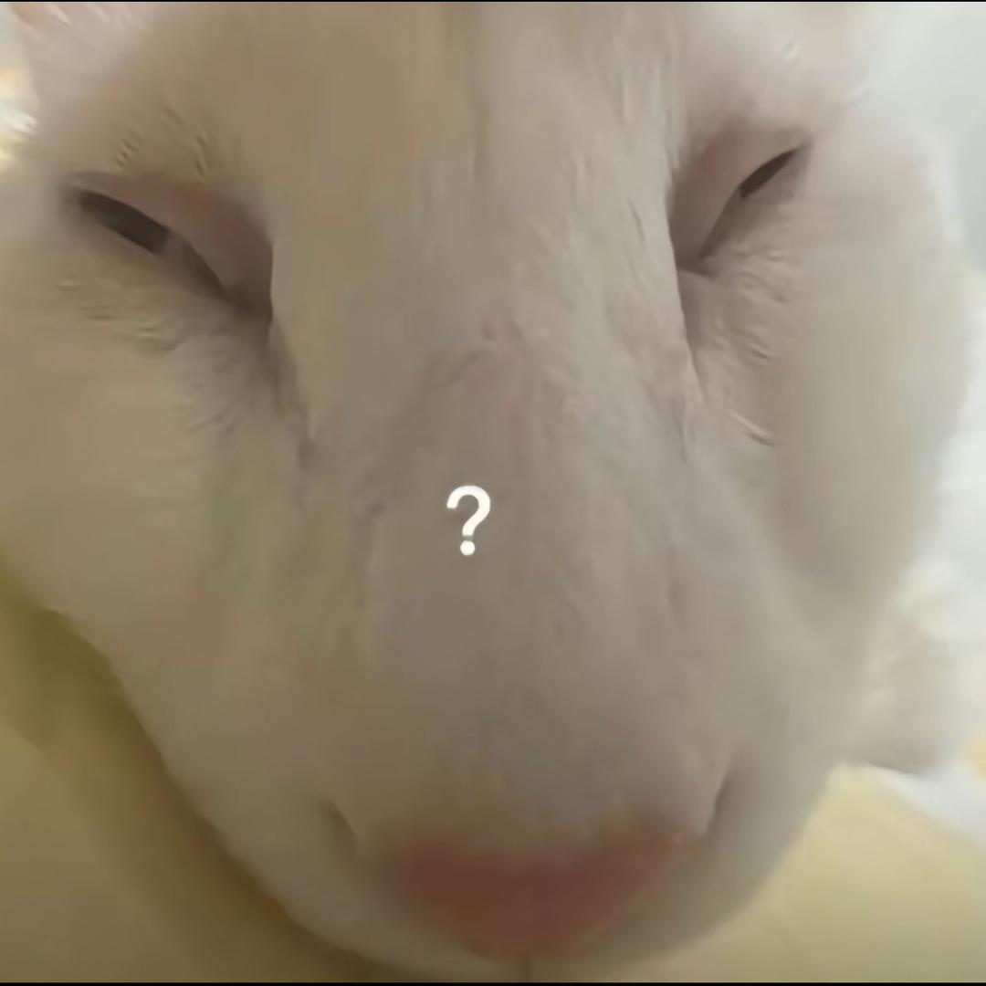 真正的joker王（中国赛区决赛总冠军）