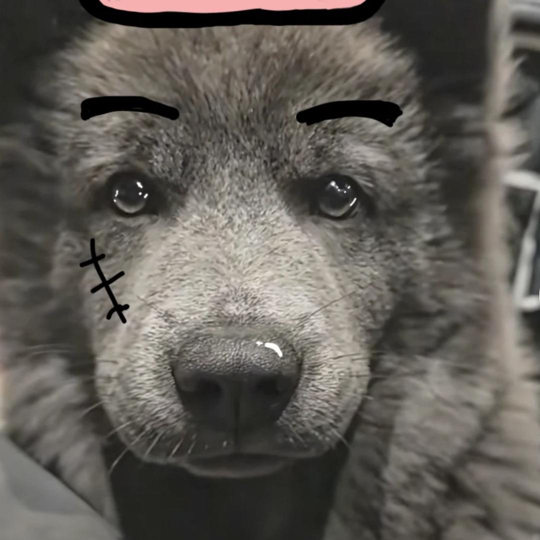 阿峰眼镜批发