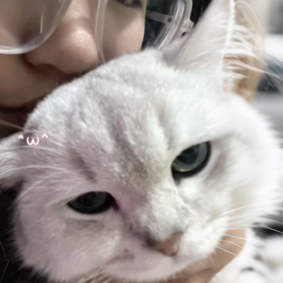 乱世情