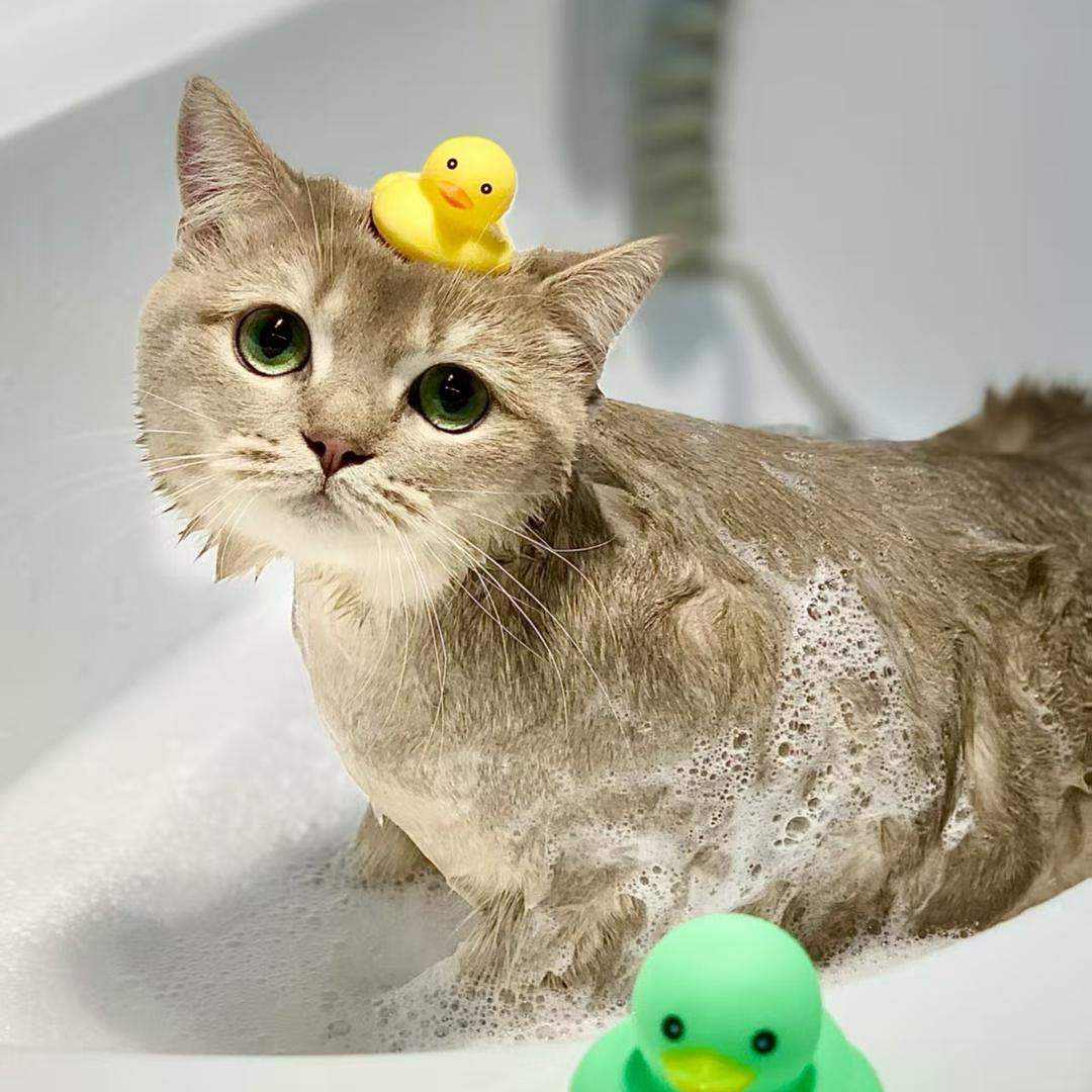 Anyou碎碎手作集