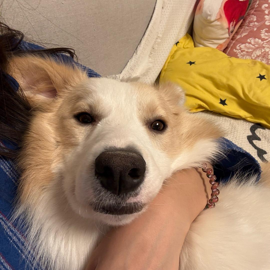 00后二娃宝妈😘