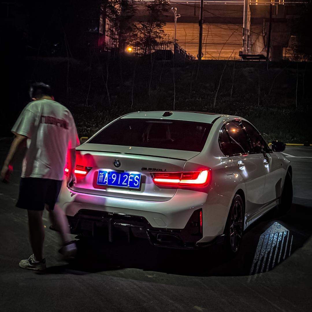 野蛮生长的马儿