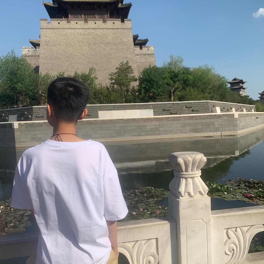 小刘打怪兽👾